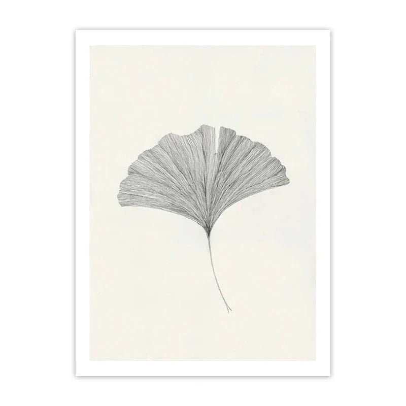 Minimalist Matisse & Picasso Collection - Canvas & Curio