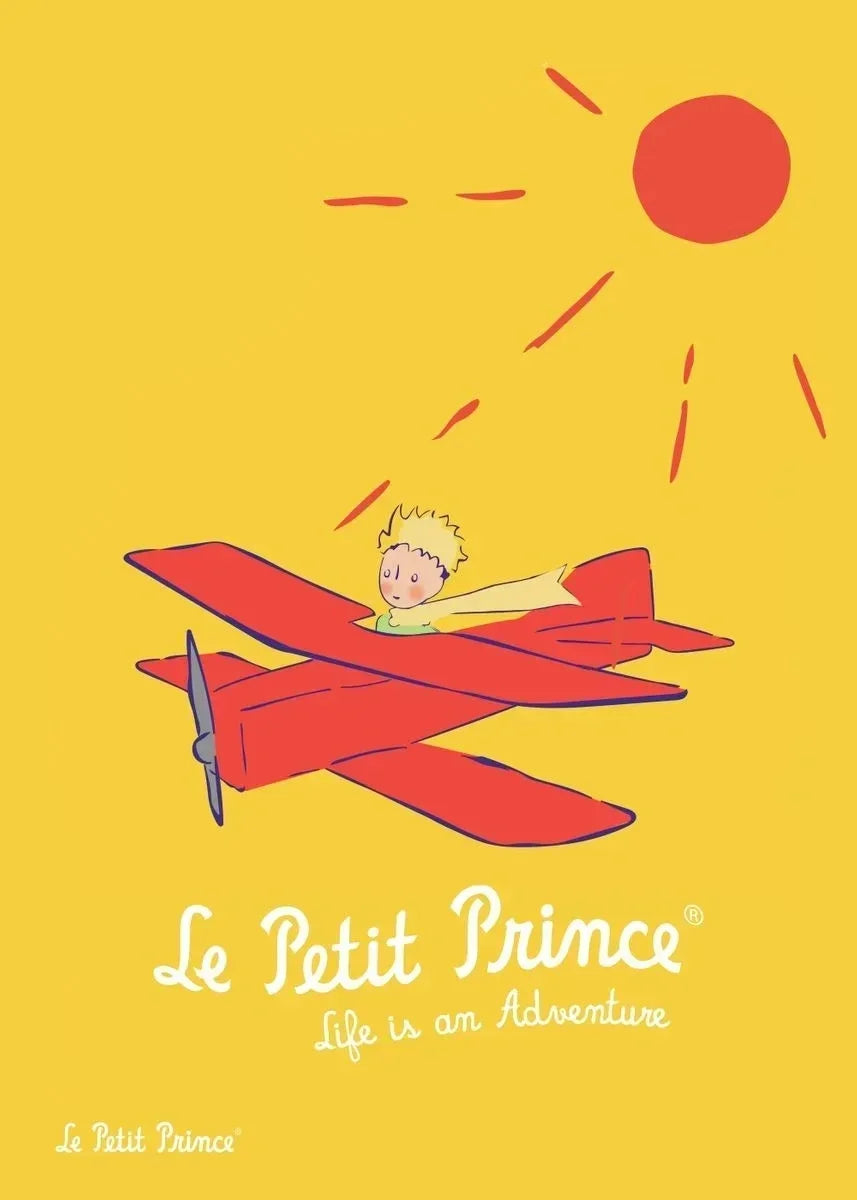Red airplane with a character on a yellow background, featuring 'Le Petit Prince' text.