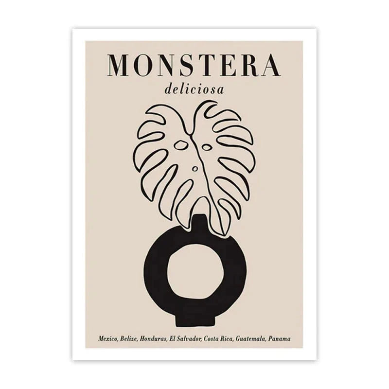 Minimalist Matisse & Picasso Collection - Canvas & Curio