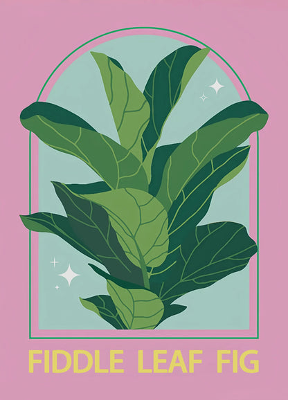 Illustration of a fiddle leaf fig plant on a pink background