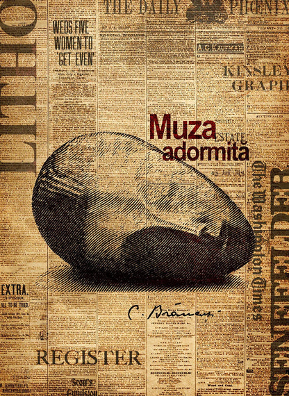 Newspaper background with a large black inkblot and the text 'Muza adormitá' in red.