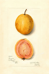 Painting I