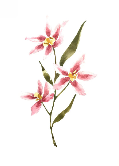 Watercolor Bloom Collection