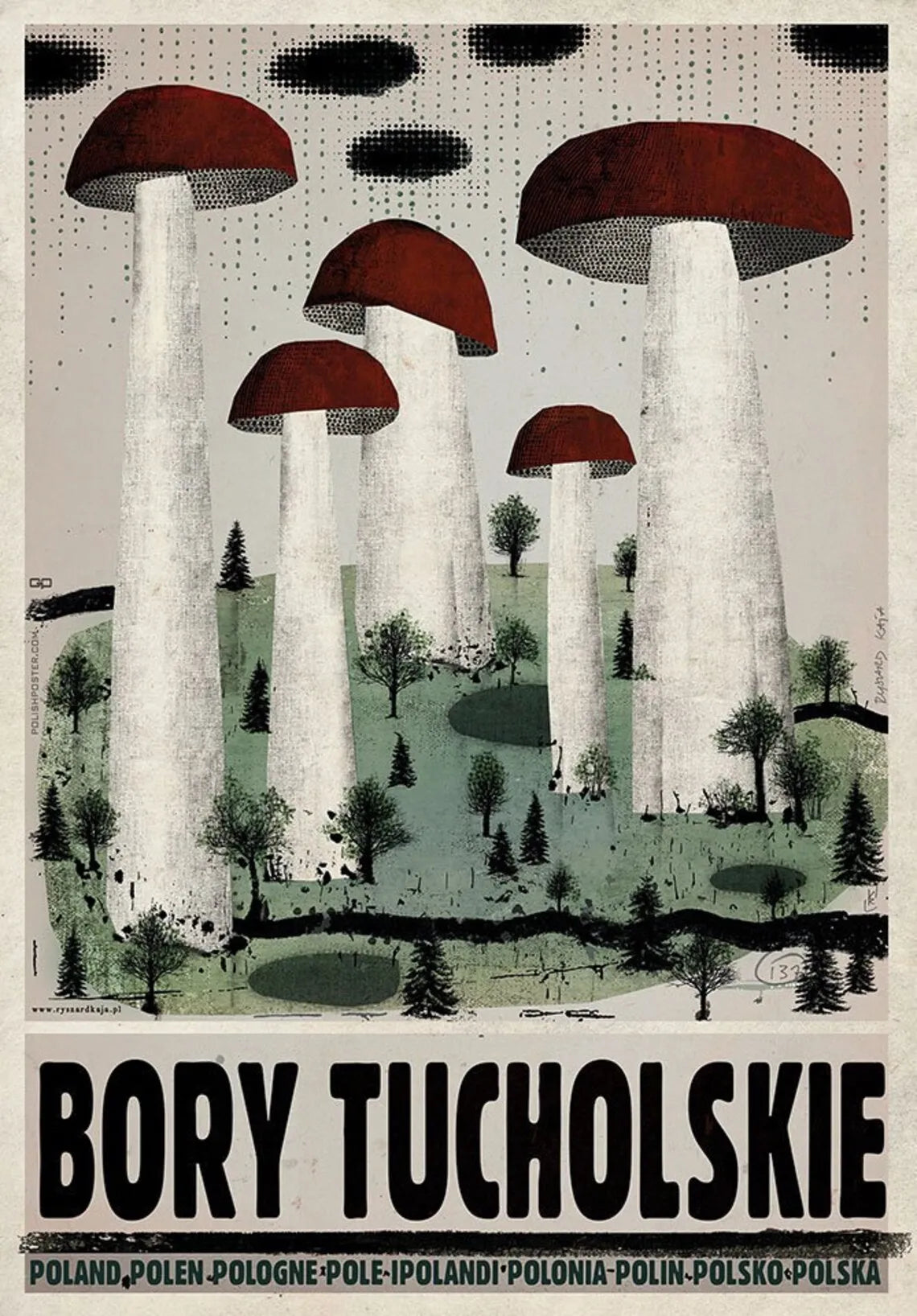 Illustration of large mushrooms with trees in a forest, featuring the text 'Bory Tucholskie'.