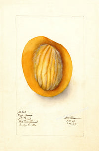 Painting III