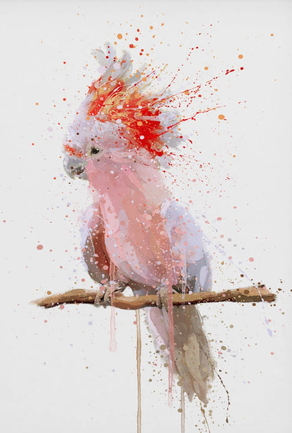 Artistic depiction of a pink cockatoo with abstract orange and red splashes on a light gray background