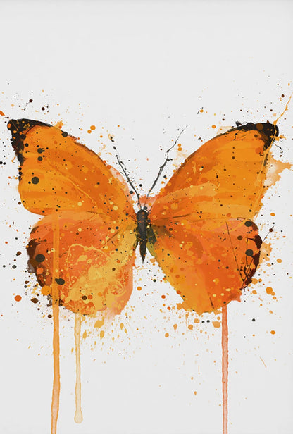 Orange butterfly with watercolor splashes on a white background