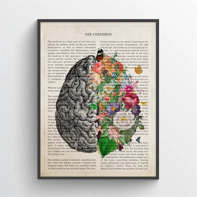 Framed artwork of a brain with floral design on an old book page.
