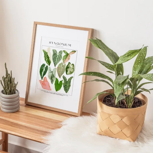 Framed plant poster on a wooden surface with potted plants. Canvas & Curio