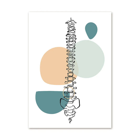 Art print with a stylized spine illustration and abstract color blocks on a white background Canvas & Curio