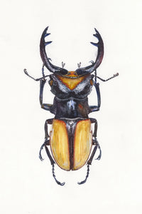 Painting VIII