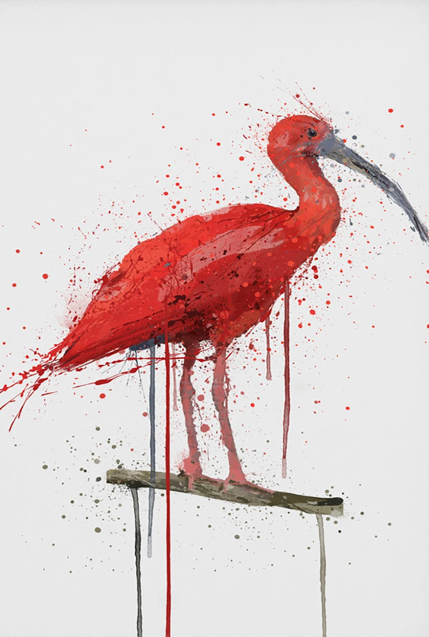 Red ibis bird on a branch with splatter art style on a white background