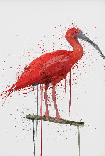 Red ibis bird on a branch with splatter art style on a white background