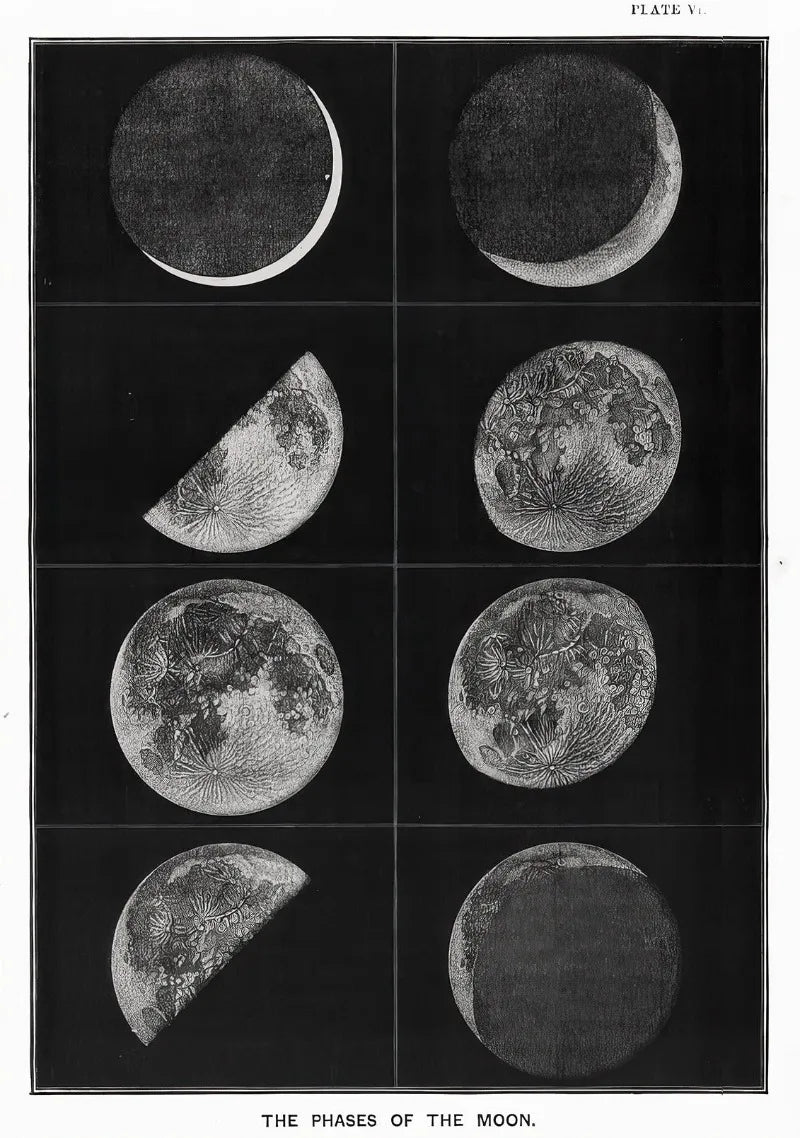 Illustration of the phases of the moon in black and white.