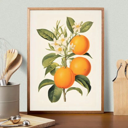 Framed artwork of oranges and flowers on a wall above a kitchen counter.