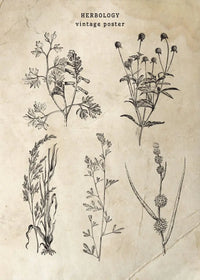 Painting II