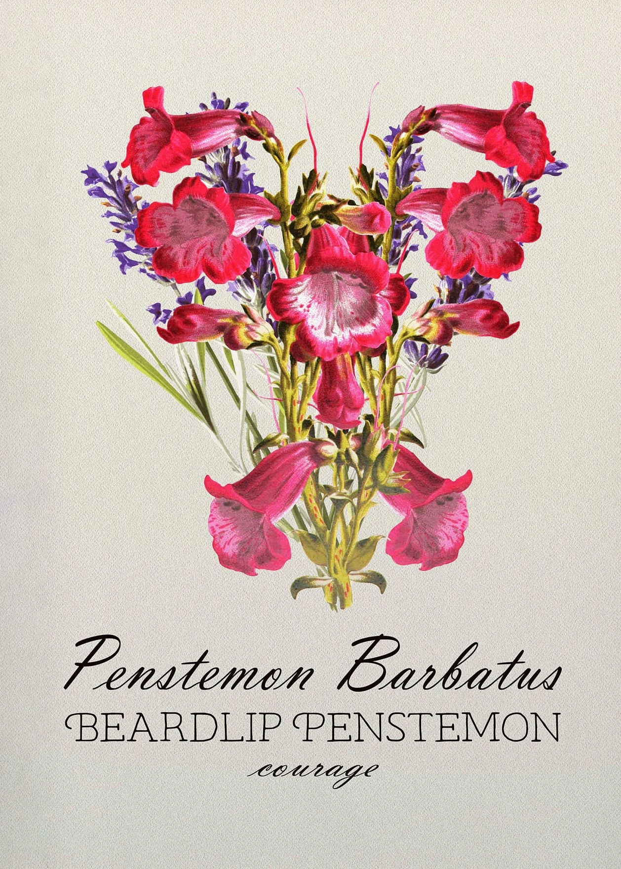 Illustration of a bouquet of red and purple flowers with text on a beige background