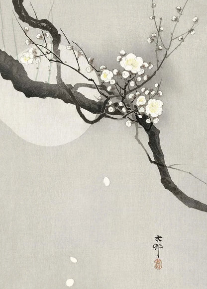Plum Blossom Collection - Canvas & Curio