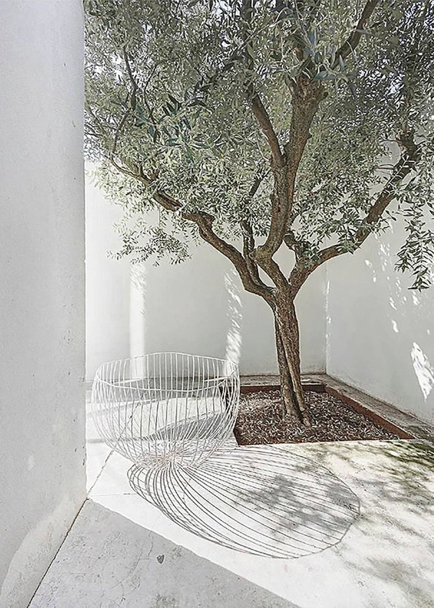 Wire chair in front of an olive tree in a minimalist setting