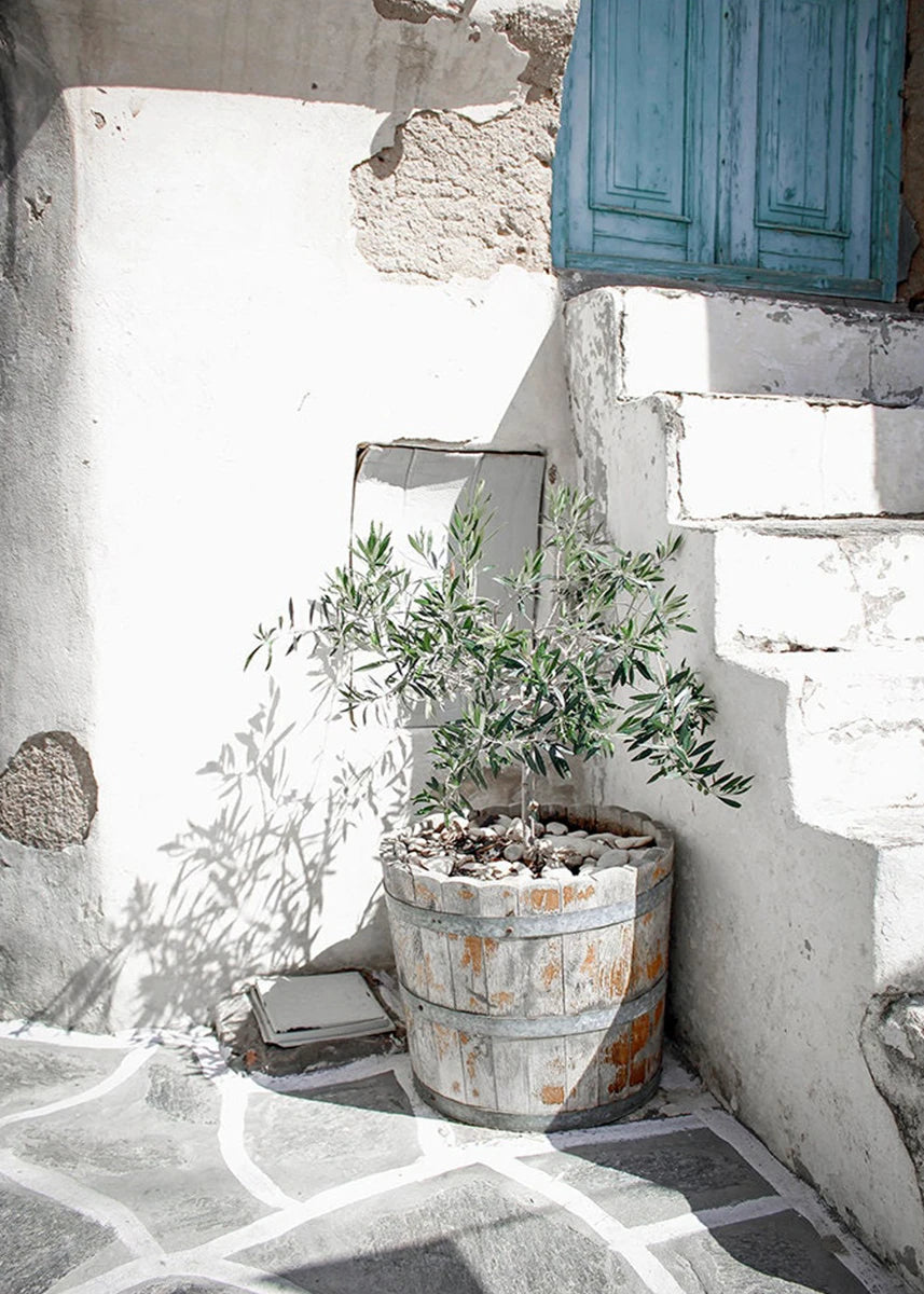 Potted plant in a decorative wooden barrel against a white stone wall with a blue door.