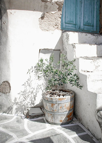 Potted plant in a decorative wooden barrel against a white stone wall with a blue door.