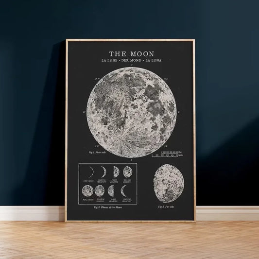 Framed map of the moon on a dark wall Canvas & Curio