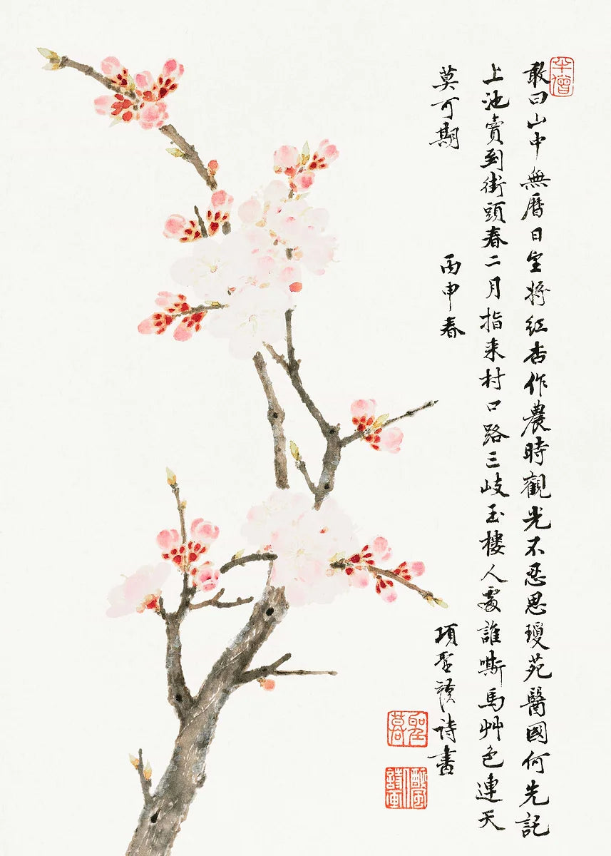 Plum Blossom Collection - Canvas & Curio