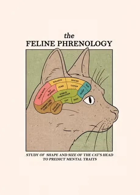 Cartoon cat with phrenology-style chart on head, labeled 'Feline Phrenology'.