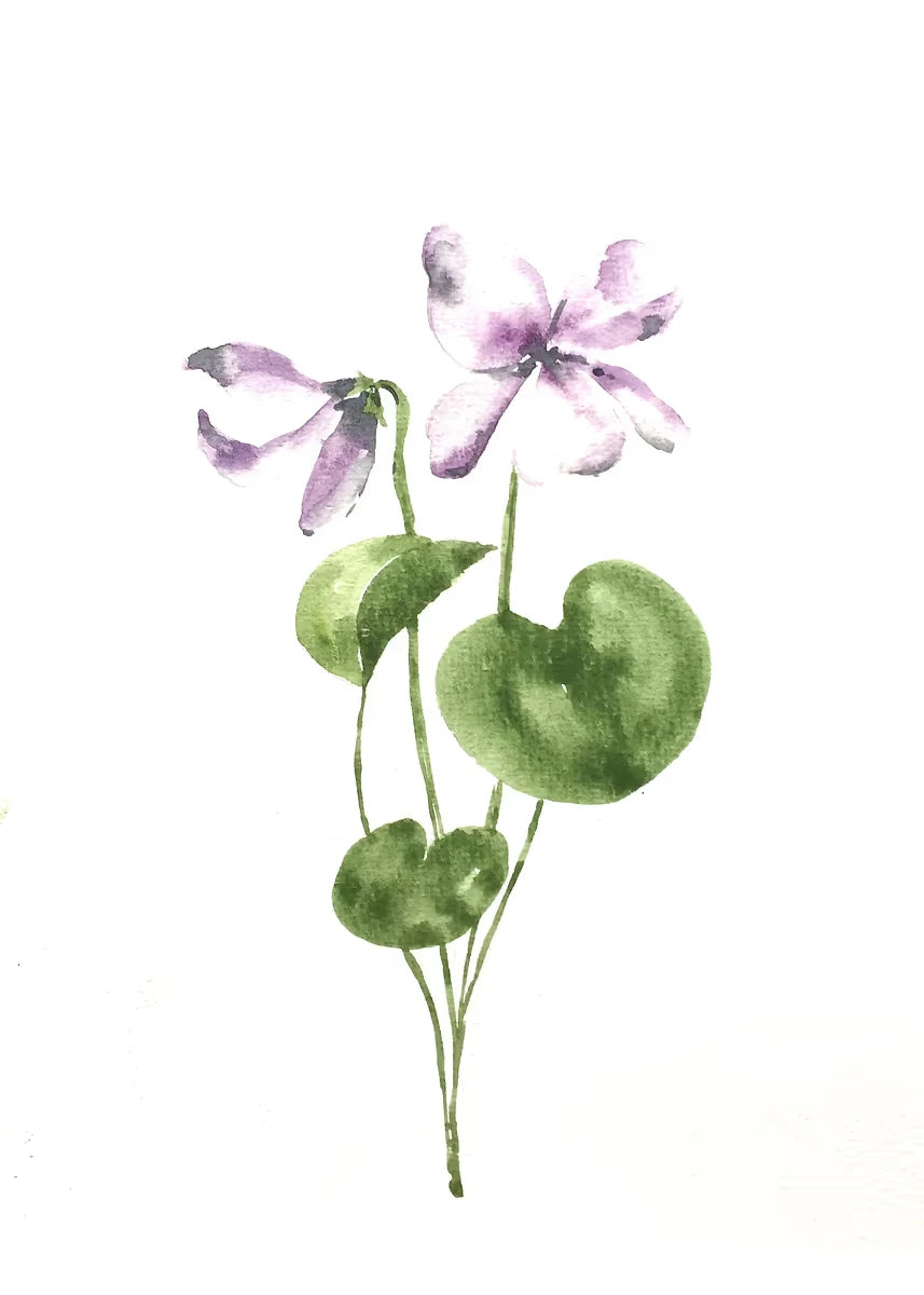 Illustration of purple flowers with green leaves on a white background
