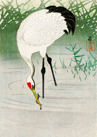 Painting II
