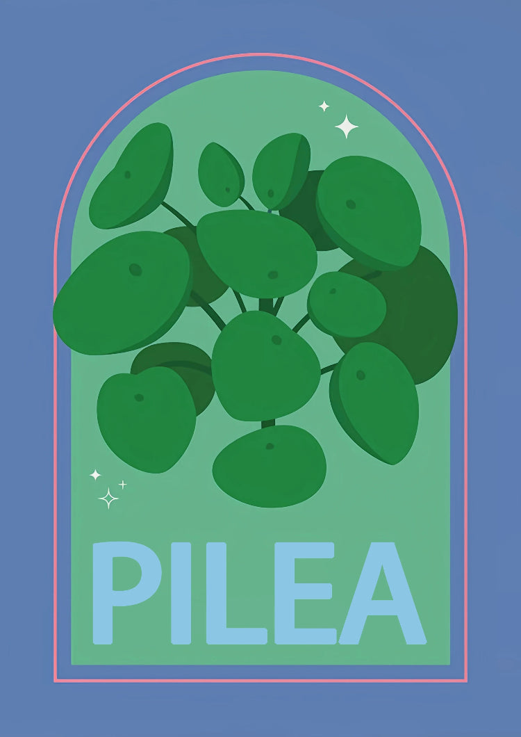 Illustration of a pilea plant with the word 'PILEA' on a blue background