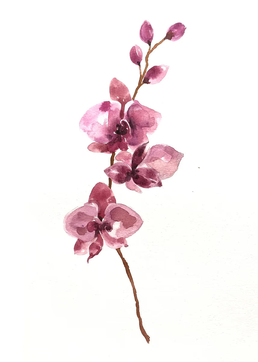 Pink orchid flower branch on a white background