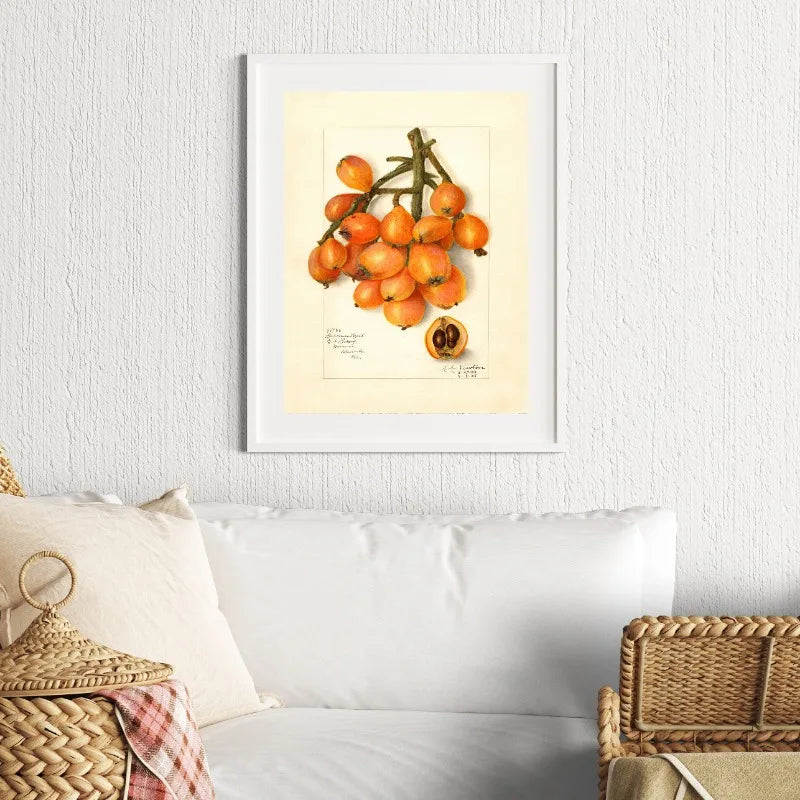 Retro Harvest Collection - Canvas & Curio