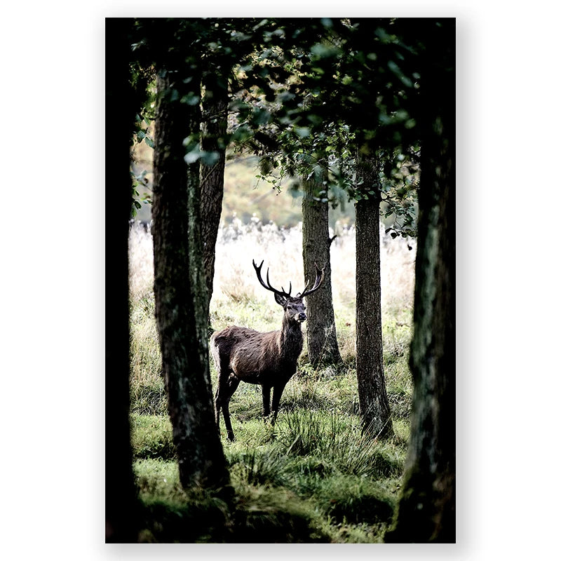 Deer standing in a forest with trees and greenery