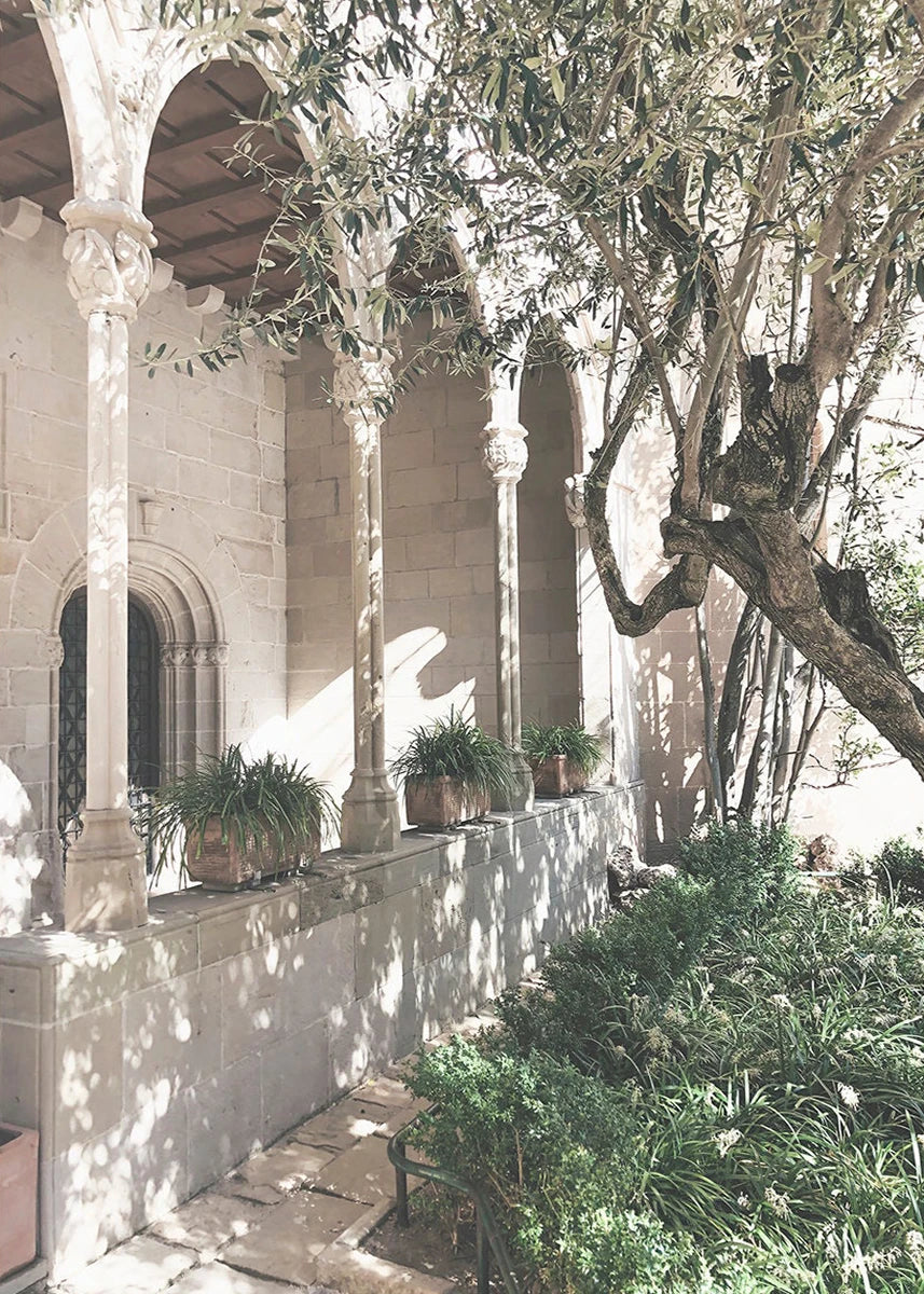 Courtyard with stone columns, potted plants, and a tree