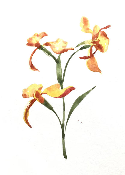 Watercolor illustration of yellow flowers with green stems and leaves on a white background