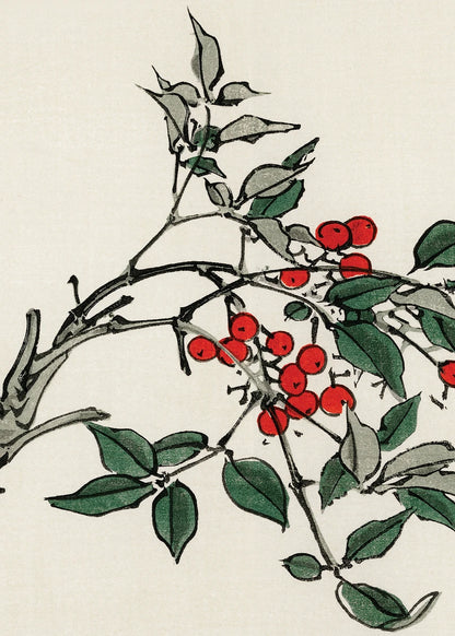 Plum Blossom Collection - Canvas & Curio