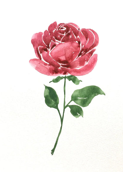 Red rose with green stem on a white background