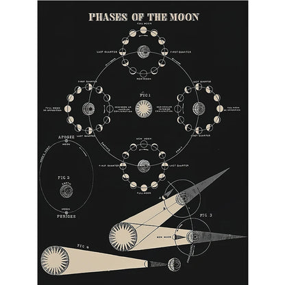 Diagram of the phases of the moon on a black background