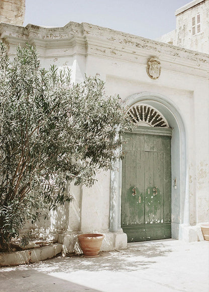 Traditional building entrance with olive tree and stone pavement
