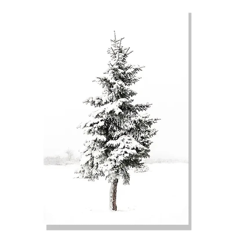 Snow-covered pine tree against a white background