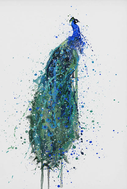 Artistic depiction of a peacock with blue and green splashes on a white background