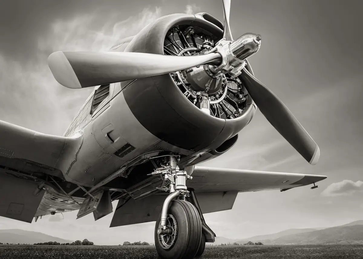 Vintage airplane with a propeller against a cloudy sky