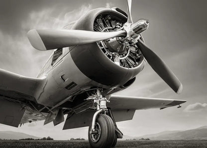 Vintage airplane with a propeller against a cloudy sky