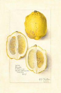 Painting VIII