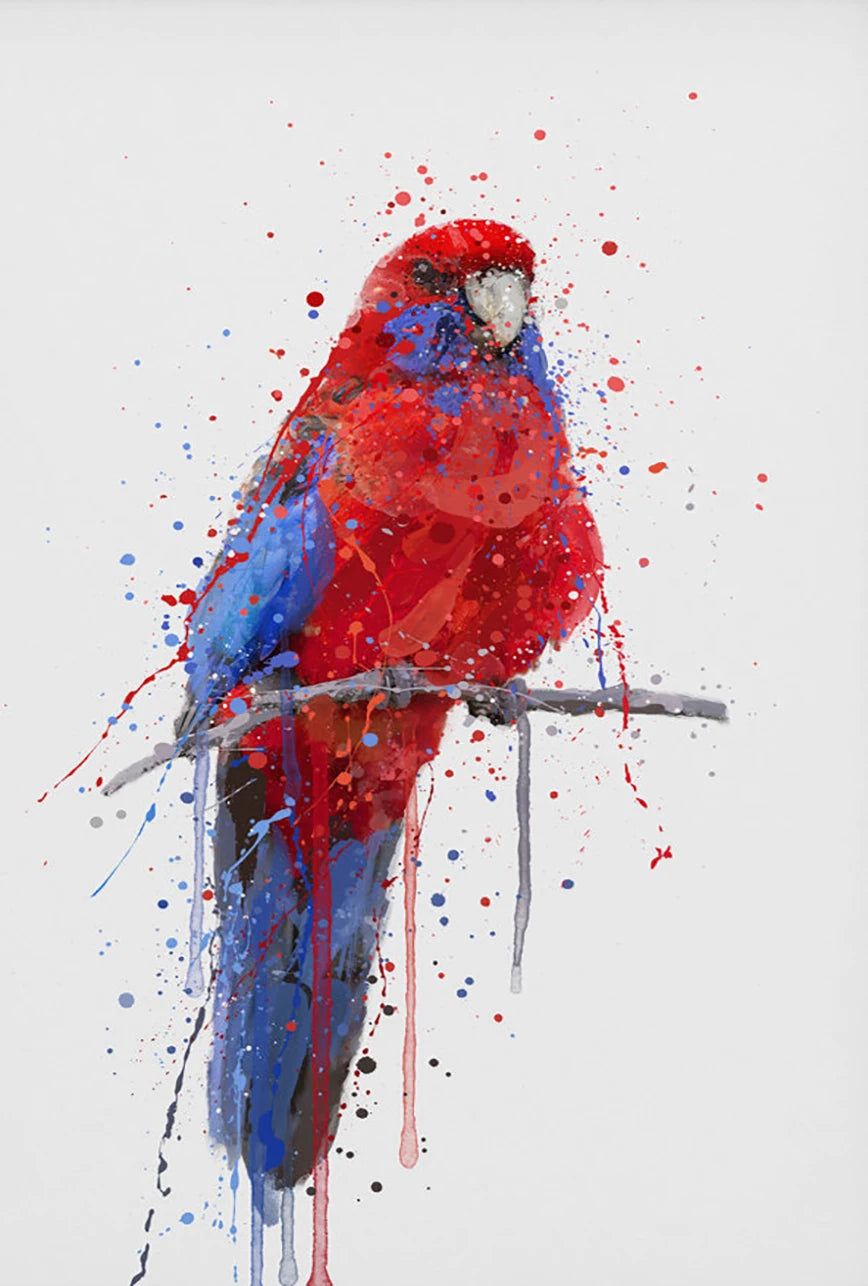 Colorful parrot illustration with splatter effects on a white background