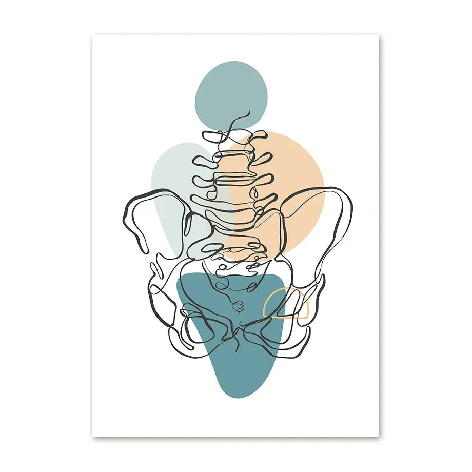 Abstract line art of a human skeleton with colored circles on a white background