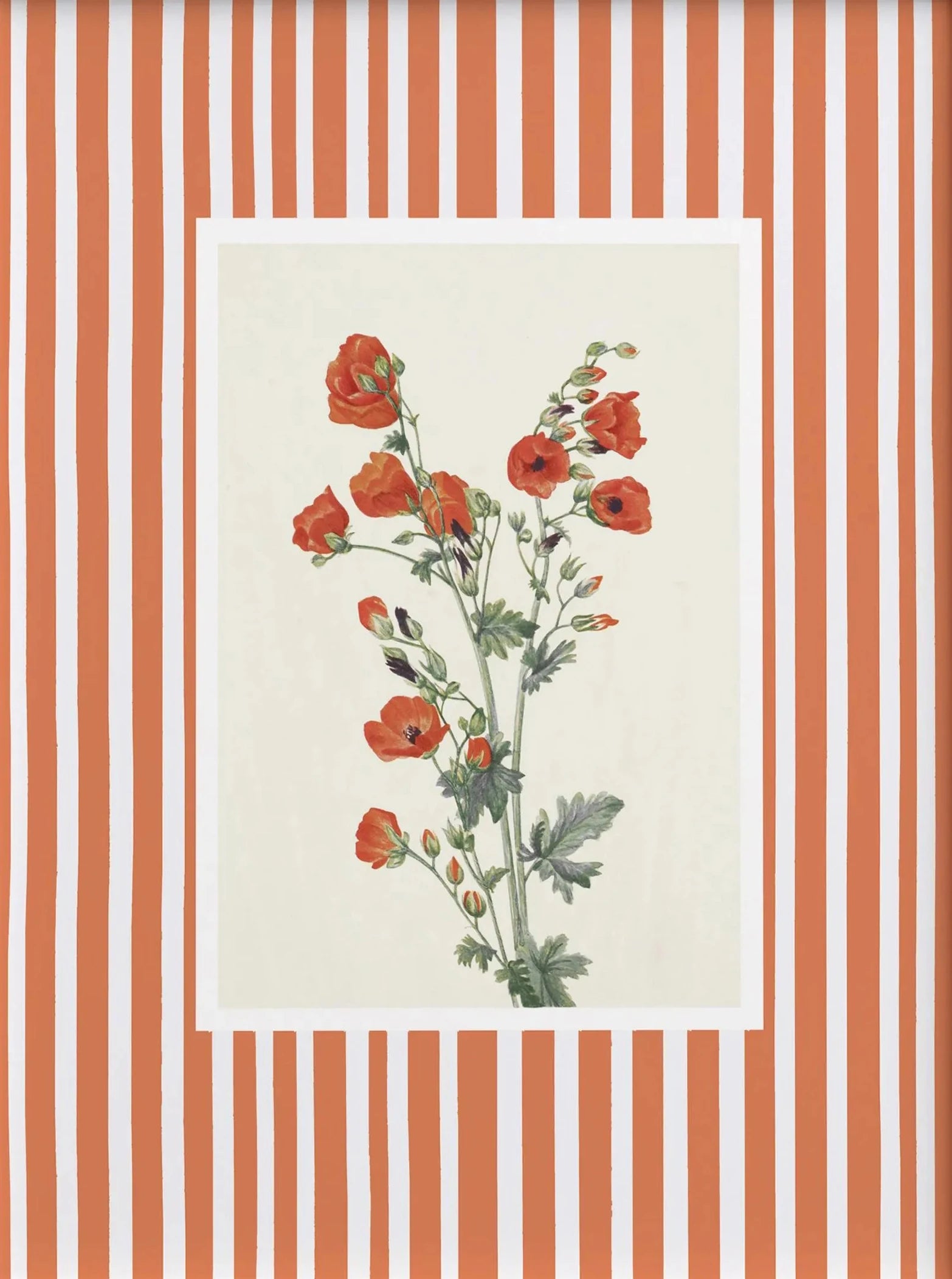Floral illustration on a striped background
