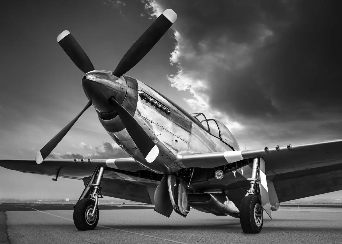Vintage airplane on a runway with a dramatic sky.