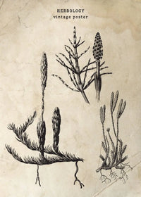 Painting III